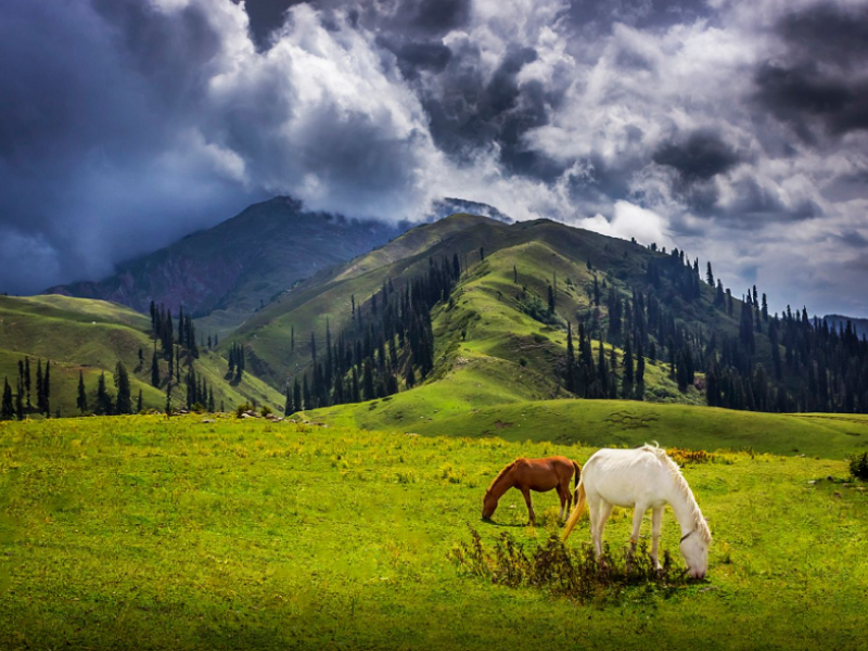 10 Enchanting Places to Visit in Shogran