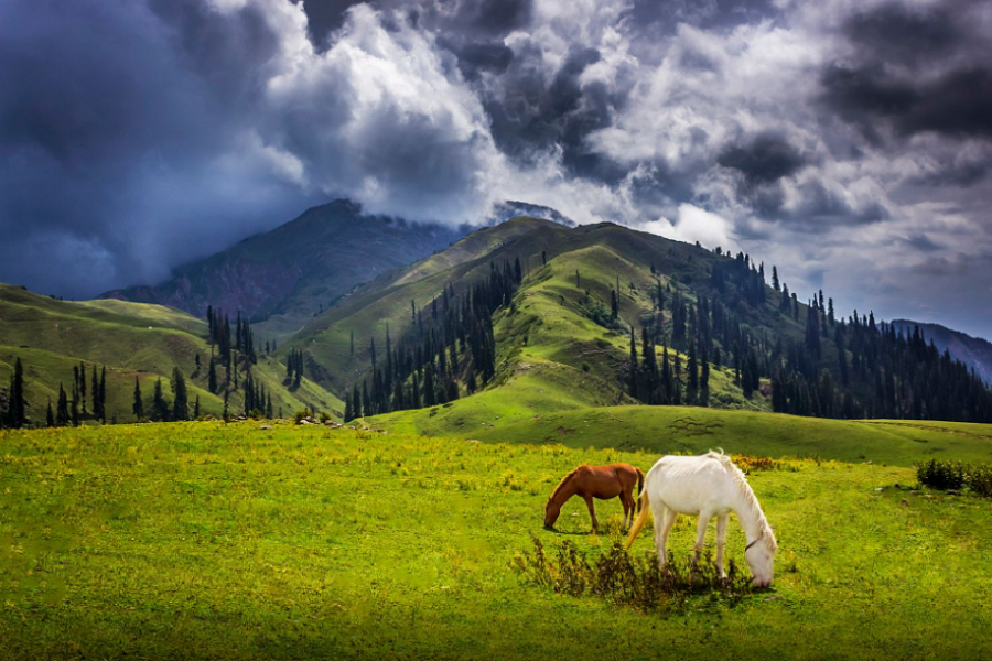 10 Enchanting Places to Visit in Shogran