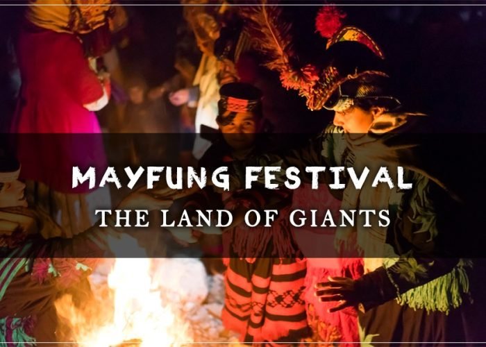 Mayfund Festival Blog