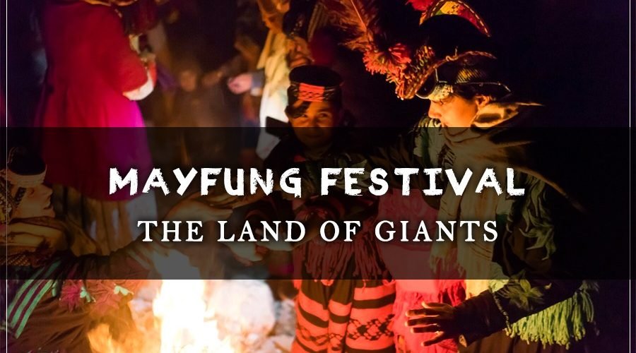 Mayfund Festival Blog